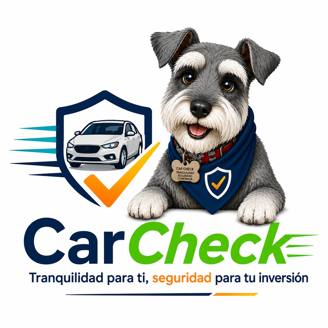 CarCheck - Tranquilidad para ti, seguridad para tu inversión